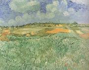 Vincent Van Gogh Plain near Auvers (nn04) Spain oil painting artist